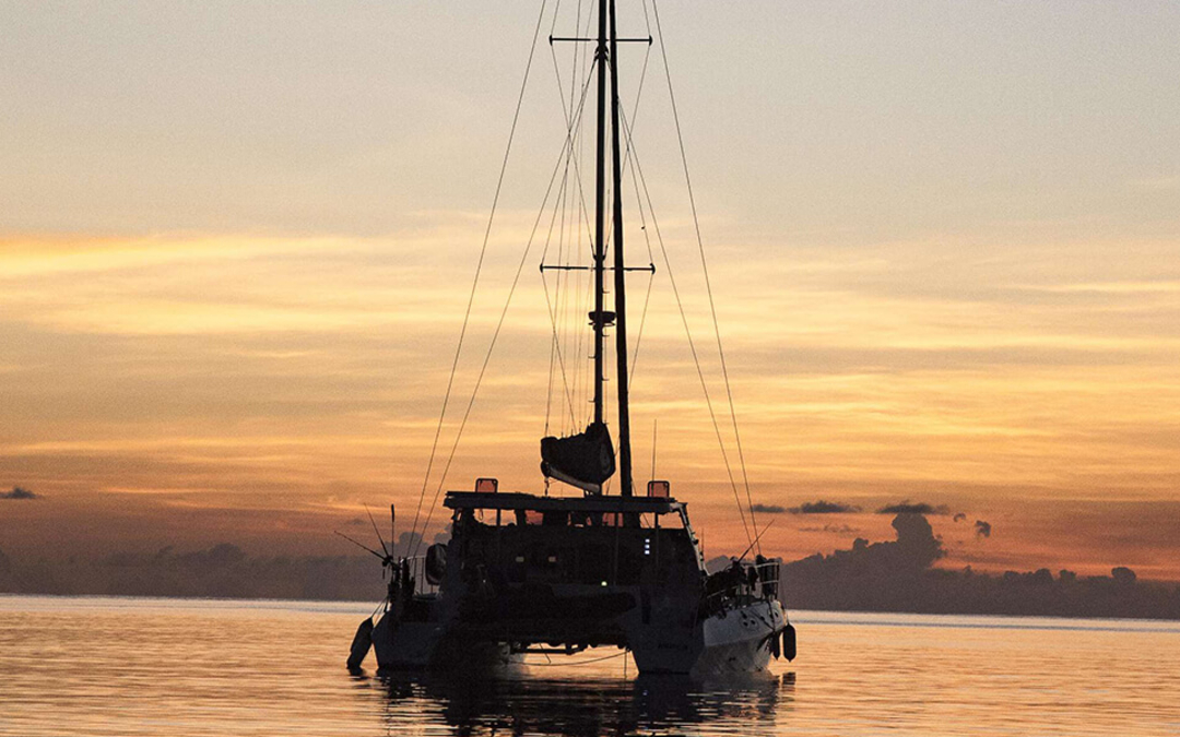 53' Royal Cape