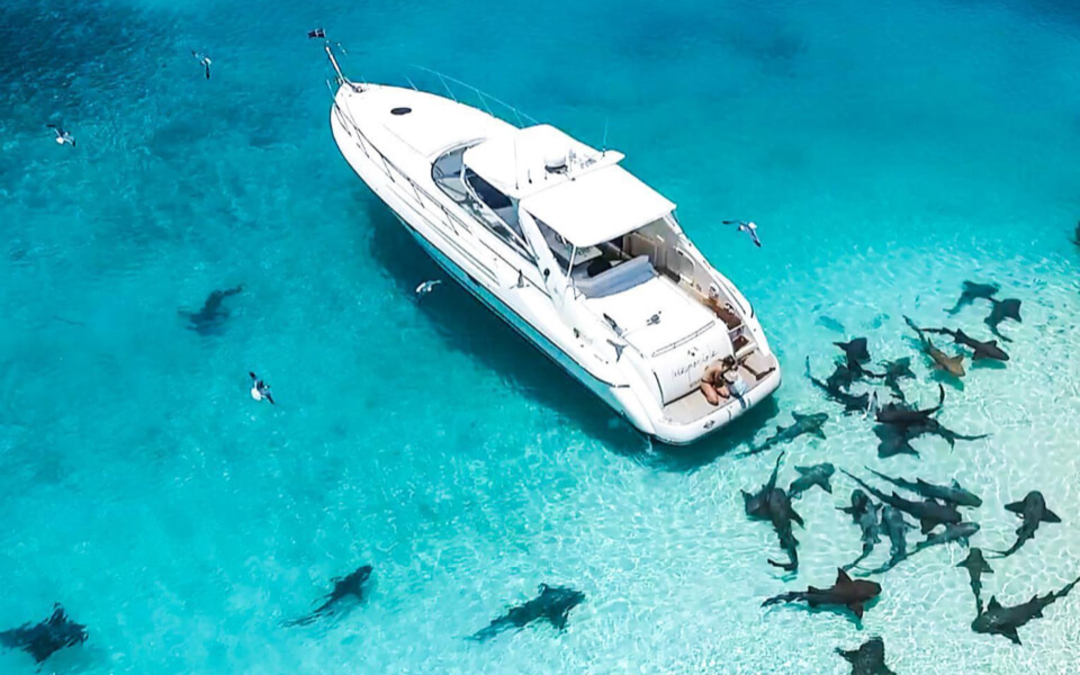 47' Sunseeker Camargue