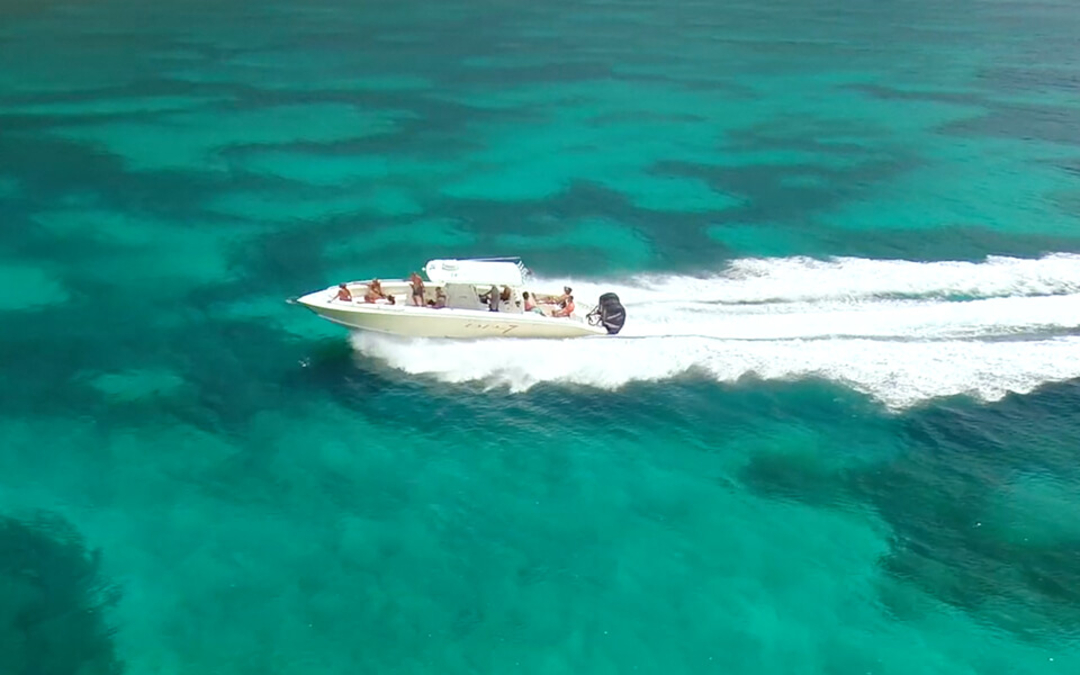 39' Midnight Express