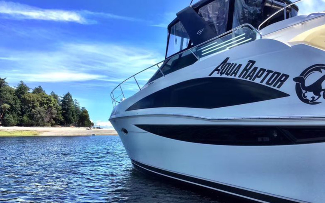 44' Carver
