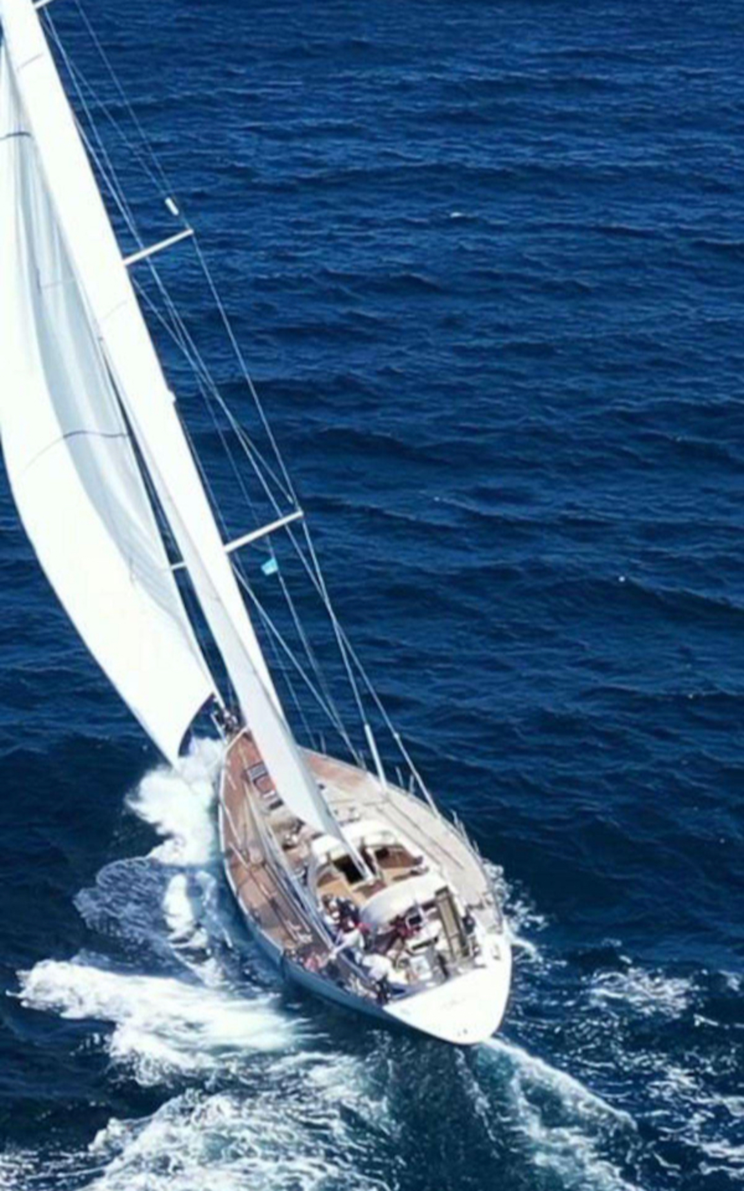 65' Swan