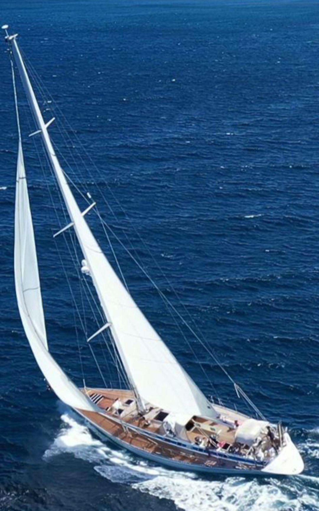 65' Swan