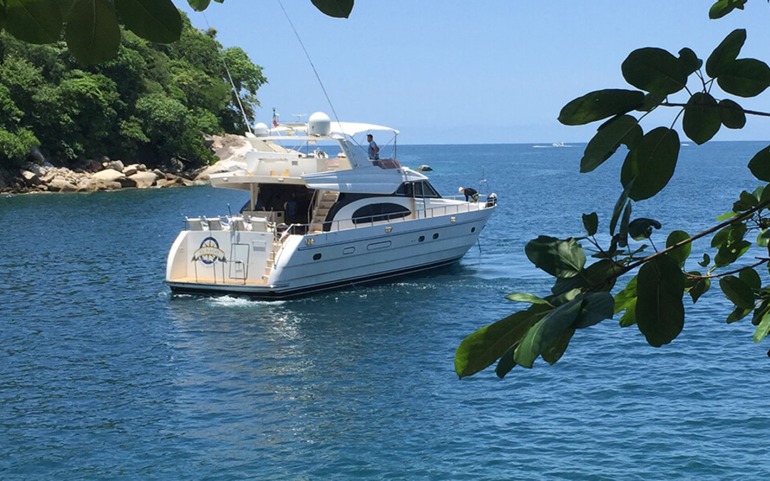 65' Vitech
