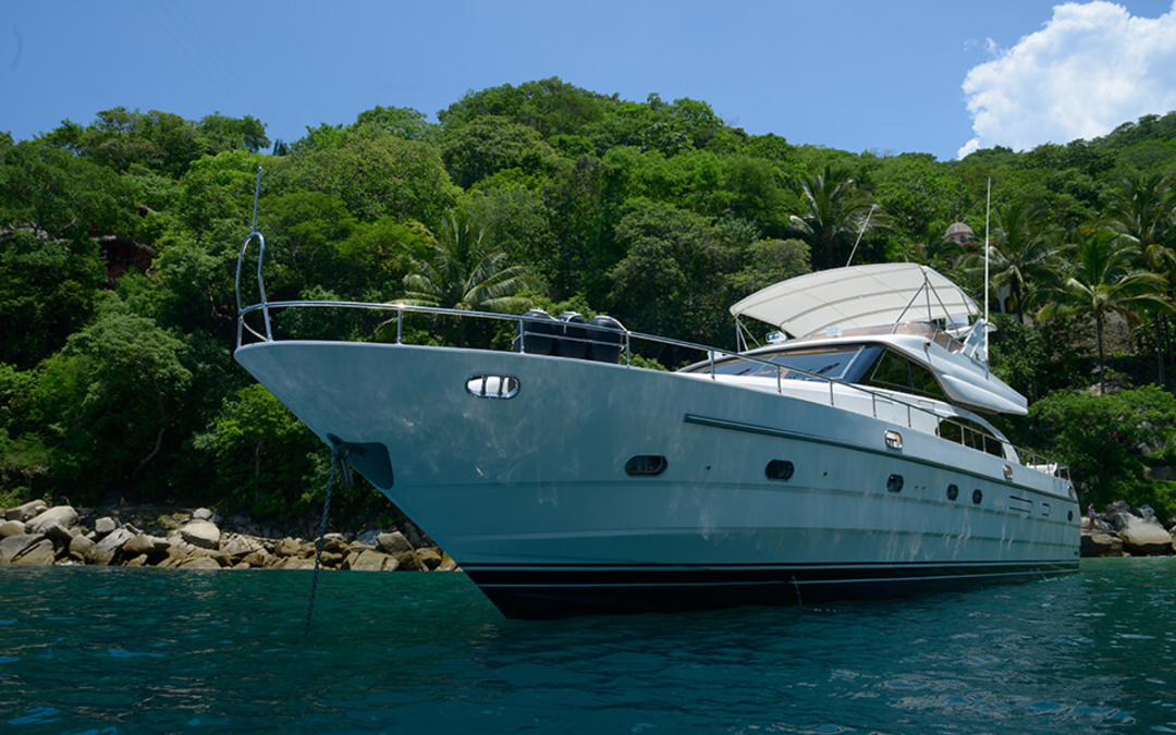 65' Vitech