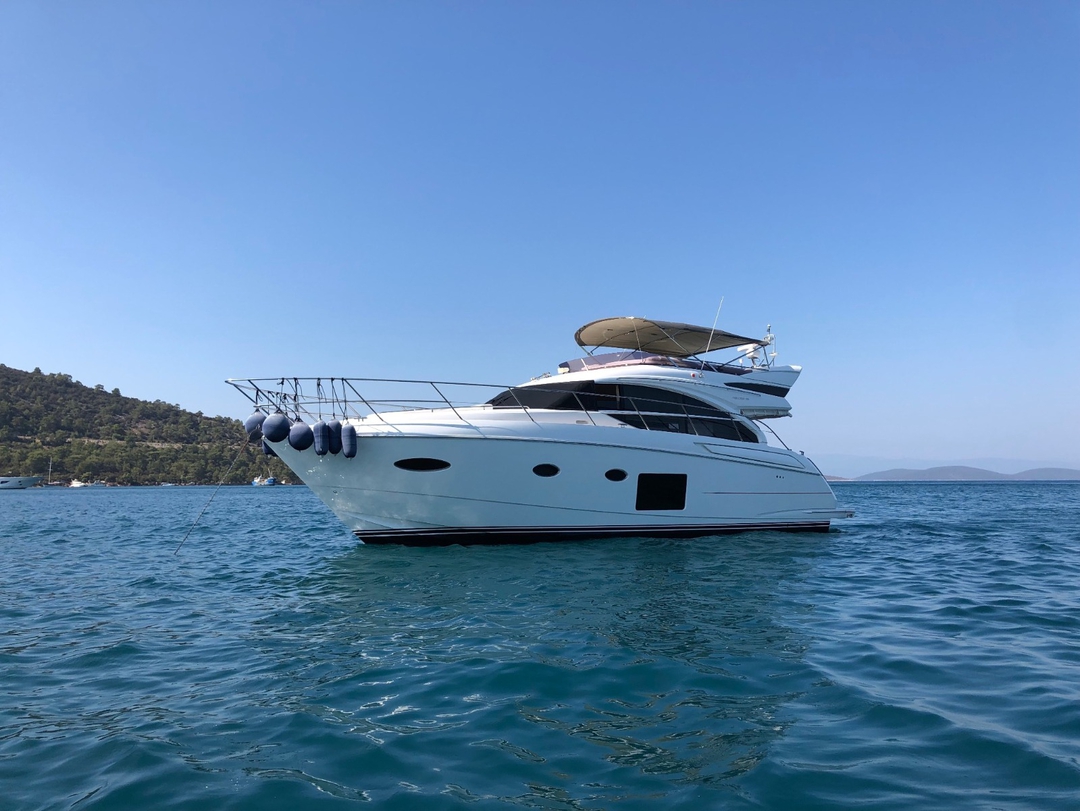 52' Princess Fly