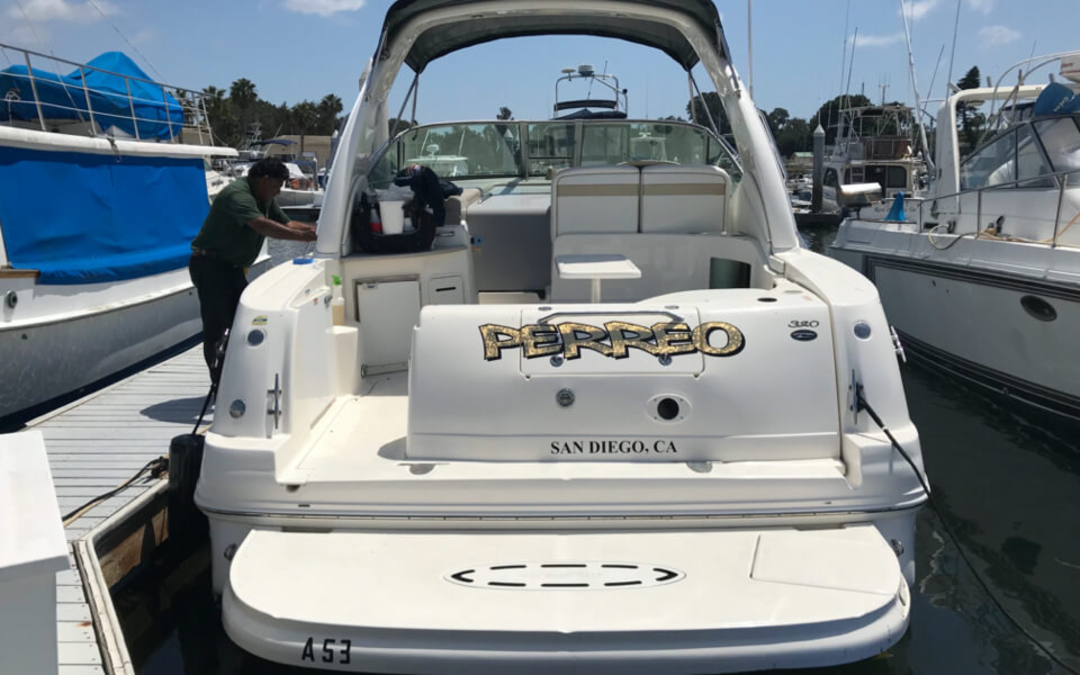 32' Sea Ray