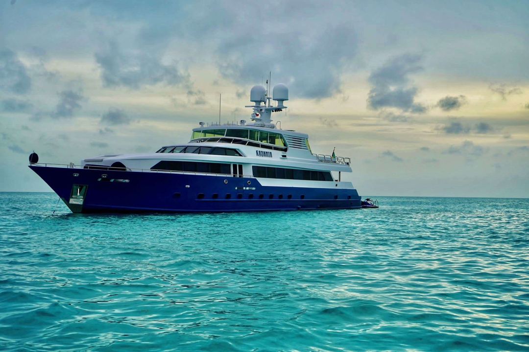 133' Splendor