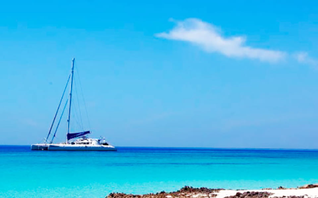 82' Catamaran